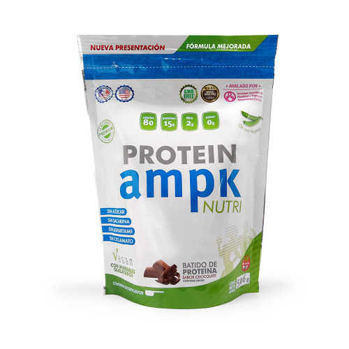AMPK Protein Chocolate x12